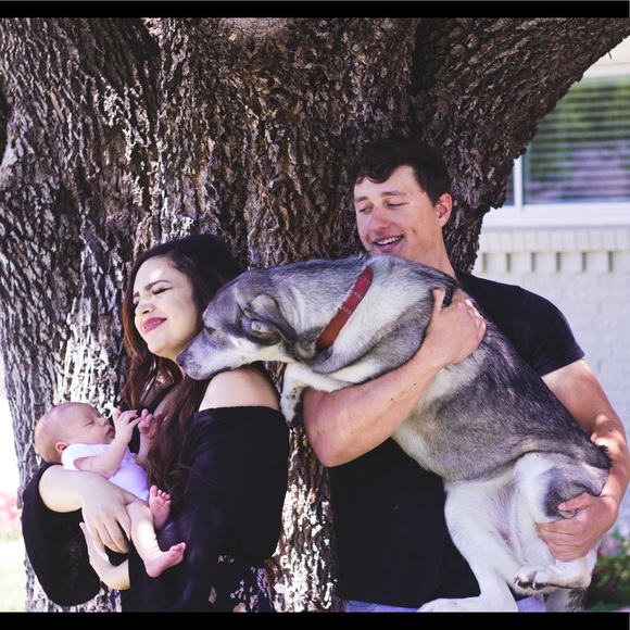 Meet your Posher, Chloe - Picture 3 of 3